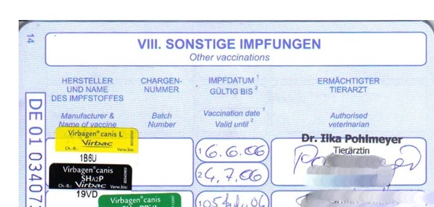 7.Impfung